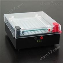 HAD-JY-DD1等电聚焦电泳槽