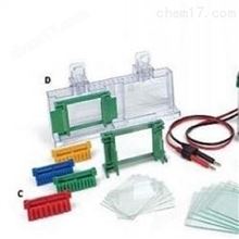 Mini-PROTEAN小型垂直电泳槽